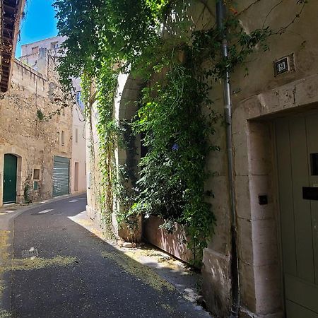 Appartement Wifi - Hypercenter - In The Heart Of Avignon! Extérieur photo